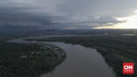 Jejak Budi Daya Kratom di Jantung Kalimantan, Berawal dari Perjumpaan
