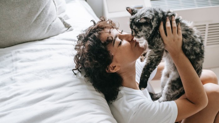 7 Mitos Kucing yang Banyak Beredar di Masyarakat, Cek Faktanya Di Sini