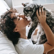 7 Mitos Kucing yang Banyak Beredar, Benarkah Punya Sembilan Nyawa?