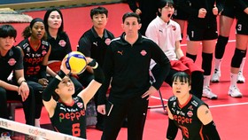 Pelatih Joe Trinsey Cabut dari AI Peppers