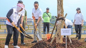 Pemprov DKI Bergerak Hijaukan Jakarta dengan Tanam Pohon Pelindung