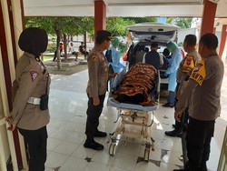 Puluhan Petugas Pemilu Meninggal, Pakar Kesehatan Unair Jelaskan Faktornya