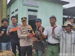 Cerita Pos Ronda dan Ayam Kampung demi Pemilu Damai