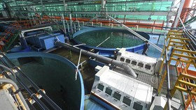 FOTO: Ternak Ikan Canggih di Singapura, Beda dengan Keramba