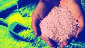 Mengenal Tugas Bulog di Tengah Langka dan Mahal Harga Beras
