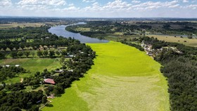 FOTO: Perjuangan Memberantas Hamparan 'Permadani' di Sungai Vaal