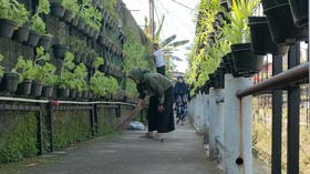 BRInita Dukung Perluasan Urban Farming di Kelurahan Padjajaran Bandung