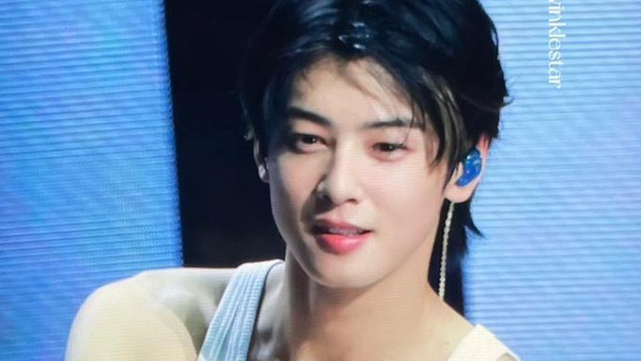 Cha Eun Woo pamer otot saat konser solo