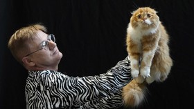 FOTO: Kucing-kucing Gemas di Cat Extravaganza