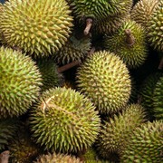 5 Cara Memilih Durian yang Enak, Manis, dan Berdaging Tebal