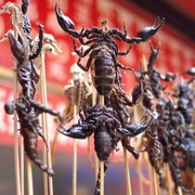 12 Makanan Paling Ekstrem di China, Ada Bola Mata Tuna hingga Sup Ular! Berani Coba?