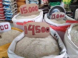 Harga Beras di Palopo Naik Jadi Rp 14.500/Kg, Bulog Minta Warga Tak Panik