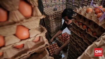 Harga Telur Turun, Peternak Menjerit saat Sentuh Rp20 Ribuan per Kg