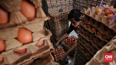 Warga membeli telur ayam di salah satu pasar tradisional. Jakarta, Selasa, 6 Februari 2024. (CNN Indonesia/Adhi Wicaksono)