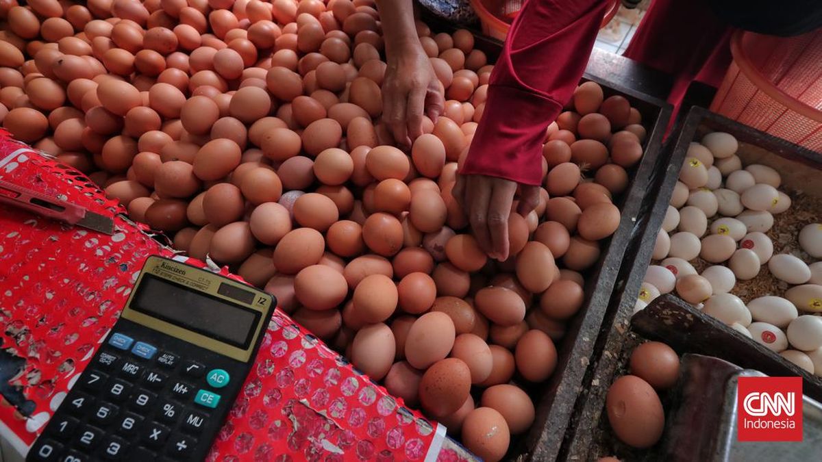 Amran Bakal Panggil Pengusaha Besar soal Lonjakan Harga Telur