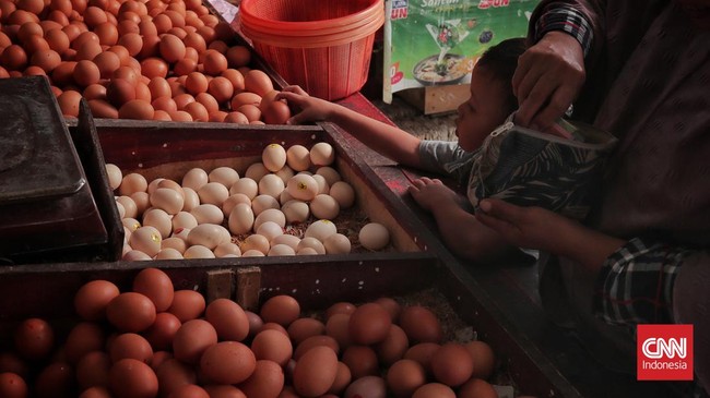 Warga membeli telur ayam di salah satu pasar tradisional. Jakarta, Selasa, 6 Februari 2024. (CNN Indonesia/Adhi Wicaksono)