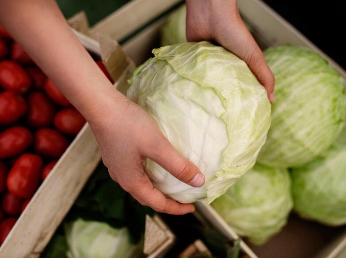 Ilustrasi kubis/Foto: Freepik.com/freepik