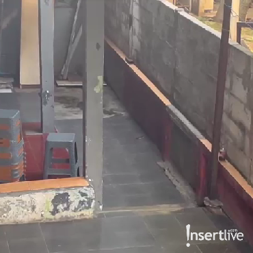 Terpopuler: Fakta 'Geng Tai' hingga Gaji Arief Suditomo Saat Jadi Anggota DPR RI