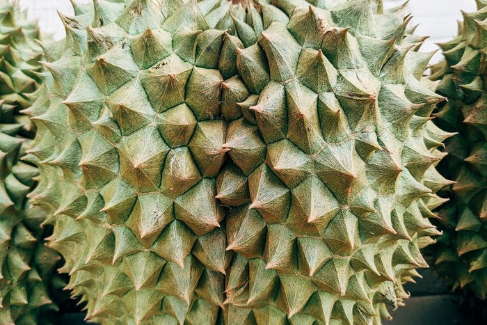 Tips Memilih Durian yang Enak, Manis, dan Berdaging Tebal