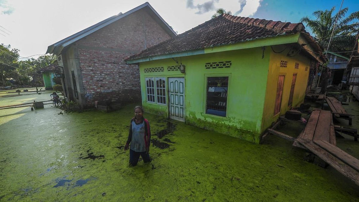 FOTO: AHY Jadi Menteri Jokowi hingga Puting Beliung Mengoyak Bandung