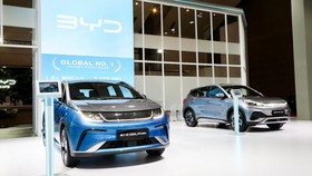 BYD Dolphin Terbaru Meluncur di China 23 Februari, Baterai Lebih Besar