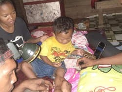 Ngeri Balita di Riau Diserang Harimau saat Tidur, Kaki Sempat Ditarik