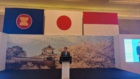 Dubes Jepang Bicara Resesi Ekonomi, Butuh Pekerja RI di Negaranya