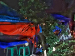 Pohon Tumbang Timpa Warung Pecel Lele di Karawang