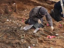Arkeolog Temukan Kuburan Massal di Eropa, Diduga Korban Wabah Pes
