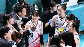 Pelatih Red Sparks Ungkap Strategi Jelang Megawati vs Ratu Voli Korea