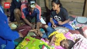 VIDEO: Kepergok Ibu, Bocah 2 Tahun Selamat dari Gigitan Harimau