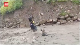 VIDEO: Pekerja Kontruksi Evakuasi Anjing Terjebak Arus Sungai Bolivia