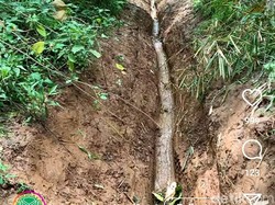 300 Meter Lahan di Tahura Djuanda Bandung Rusak Digilas Motor Trail!