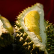 5 Makanan dan Minuman yang Tidak Boleh Dikonsumsi Bersama Durian