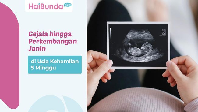 Gejala Hingga Perkembangan Janin Di Usia Kehamilan 5 Minggu