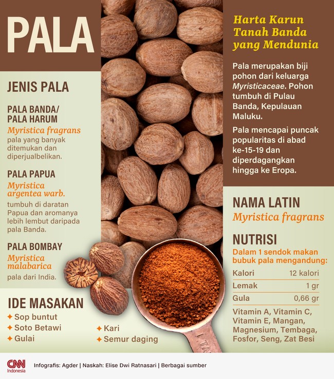 Pala merupakan biji pohon dari keluarga Myristicaceae yang tumbuh di Pulau Banda, Kepulauan Maluku yang populer dan diperdagangkan hingga ke Eropa.