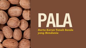 INFOGRAFIS: Pala, Rempah Tanah Banda yang Mendunia