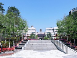 10 Universitas Kecil Terbaik di Dunia 2024 Versi Times Higher Education