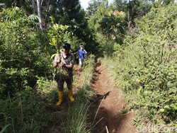 Butuh Waktu Sebulan untuk Hijaukan Lahan Tahura Djuanda yang Rusak
