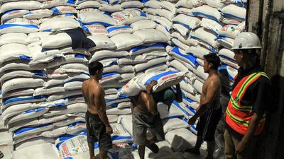 Pupuk Subsidi Turun Harga Dinilai Bikin Untung Petani dan Industri
