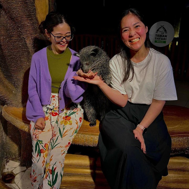 <p>Melihat dari akun Instagram Gisela Cindy, kedua saudara ini memutuskamn untuk berlibur ke Taman Safari Indonesia. Tidak hanya itu, mereka juga berwisata ke pulau Bali, lho. (Foto: Instagram: @giselacindy12)</p>