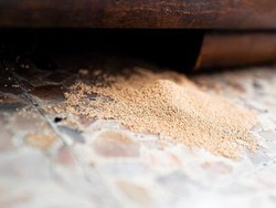 4 Cara Basmi Kumbang Bubuk Kayu yang Suka Gerogotin Furniture