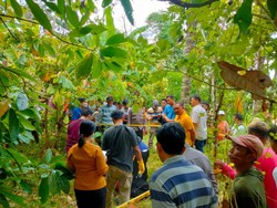 Kelian Adat Ditemukan Tewas di Kebun, Ada Racun Serangga dan Surat Wasiat