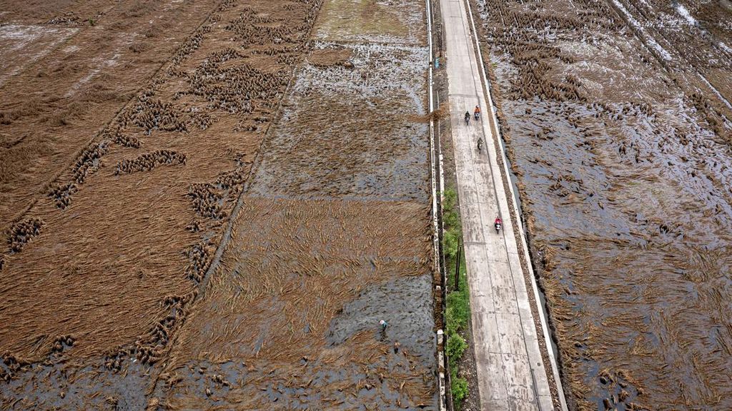 3.000 Ha Sawah di Jatim Gagal Panen Gara-gara Cuaca Ekstrem