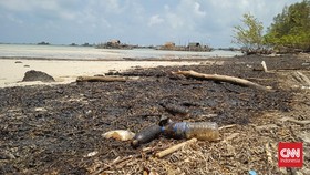 Minyak Hitam Menggumpal Masih Cemari Laut Bintan