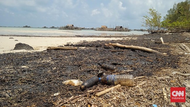 Gumpalan minyak hitam masih mencemari kawasan Laut dan pesisir pantai di Kabupaten Bintan. Nelayan tak melaut satu minggu karena tidak ada ikan.