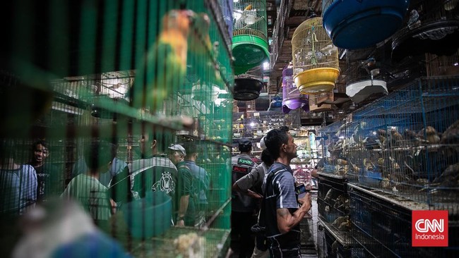 FOTO: Pasar Burung Pramuka yang Tak Pernah Sepi Pengunjung