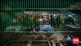 FOTO: Pasar Burung Pramuka yang Tak Pernah Sepi Pengunjung