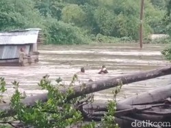 Dramatis, 1 Keluarga Terjebak Banjir Selamat Berkat Suara Bebek Berenang