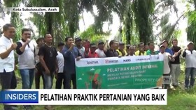 Program Sawit Terampil, Upaya Tingkatkan Keterampilan Petani Swadaya
